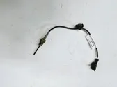 Exhaust gas temperature sensor