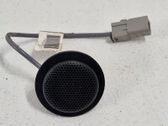 Microphone (bluetooth/phone)