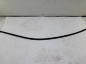 Roof trim bar molding cover