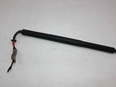 Tailgate/trunk strut/damper