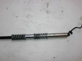 Tailgate/trunk strut/damper