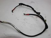 Wires (starter motor)