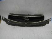 Front bumper upper radiator grill