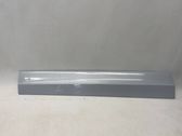 Front door trim (molding)
