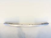 Rear bumper trim bar molding