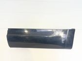 Listón embellecedor de la puerta delantera (moldura)