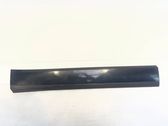 Front door trim (molding)