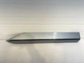 Rear door trim (molding)