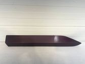 Listón embellecedor de la puerta delantera (moldura)