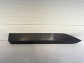 Listón embellecedor de la puerta delantera (moldura)