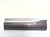 Rear door trim (molding)
