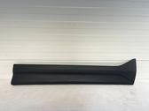 Front door trim (molding)