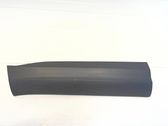 Front door trim (molding)
