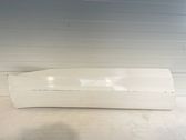 Front door trim (molding)