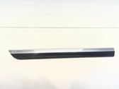 Rear door trim (molding)
