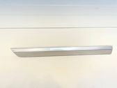 Rear door trim (molding)