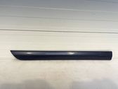 Rear door trim (molding)