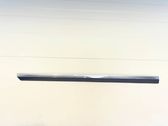 Front door trim (molding)