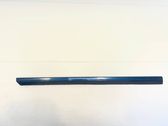 Front door trim (molding)