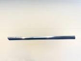 Front door trim (molding)