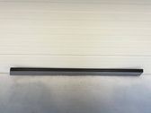 Front door trim (molding)