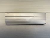Rear door trim (molding)