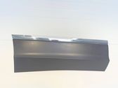Rear door trim (molding)