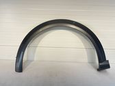 Fender trim (molding)