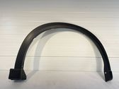 Fender trim (molding)