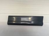 Rear door trim (molding)