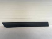 Listón embellecedor de la puerta delantera (moldura)