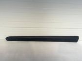 Listón embellecedor de la puerta delantera (moldura)