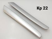 Listón embellecedor de la puerta delantera