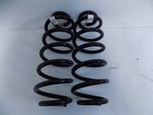 Rear coil spring