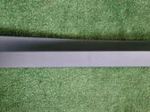 Rear door trim (molding)