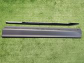 Front door trim (molding)
