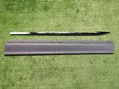 Front door trim (molding)