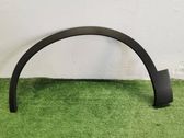 Fender trim (molding)