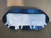 Passenger airbag