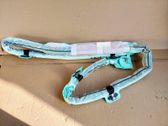 Roof airbag
