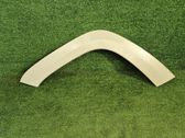 Fender trim (molding)
