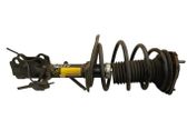 Front shock absorber/damper