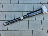 Stoßdämpfer hinten