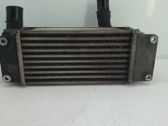 Intercooler radiator