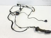 Front door wiring loom