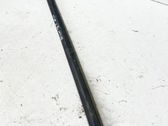 Front door trim (molding)