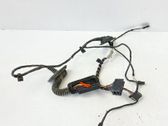 Rear door wiring loom