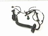 Front door wiring loom