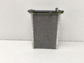 Air conditioning (A/C) radiator (interior)