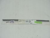 Rear door trim (molding)